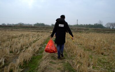 Youth: Homecoming