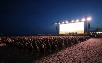 Cannes 2023: The Verdict