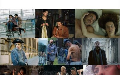 The International Contenders: Our Verdict