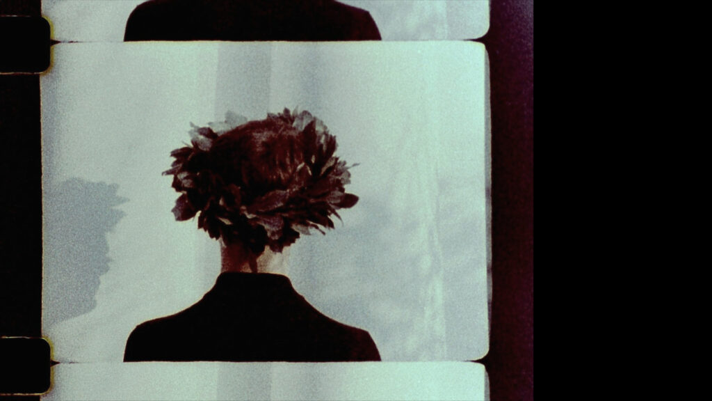Still from Daphne was a torso ending in leaves (2024)