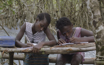 Mangrove School