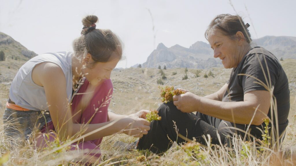 Still 2 Gara Nada flower wreath TO HOLD A MOUNTAIN To Hold A Mountain