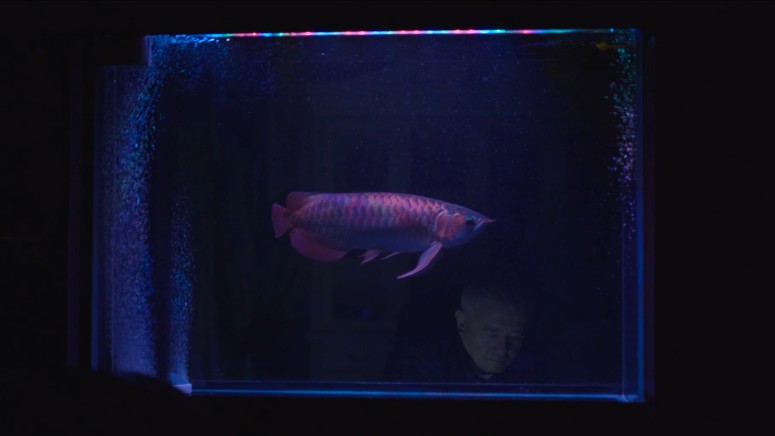 Still from The Moon Also Rises (2024)