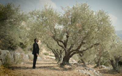 The Trees