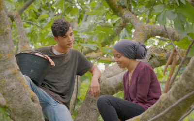 Under the Fig Trees