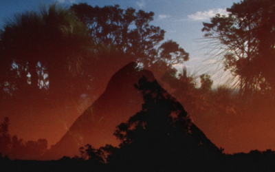 Archipelago of Earthen Bones – To Bunya