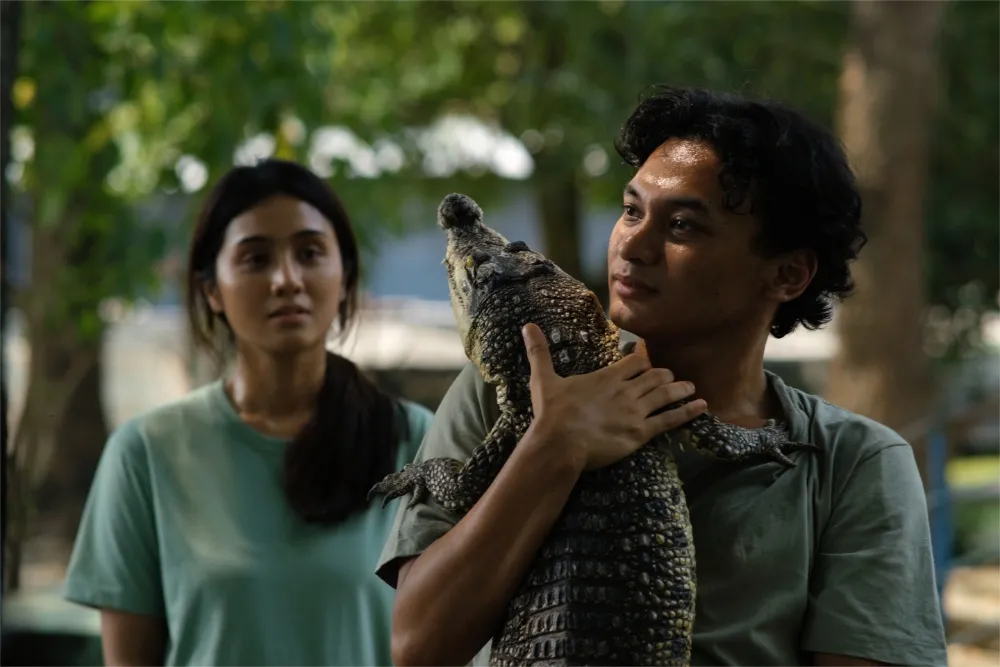 Crocodile Tears Crocodile Tears